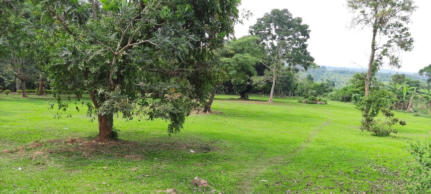 A look at the property at Ndejje University where the course will be installed.